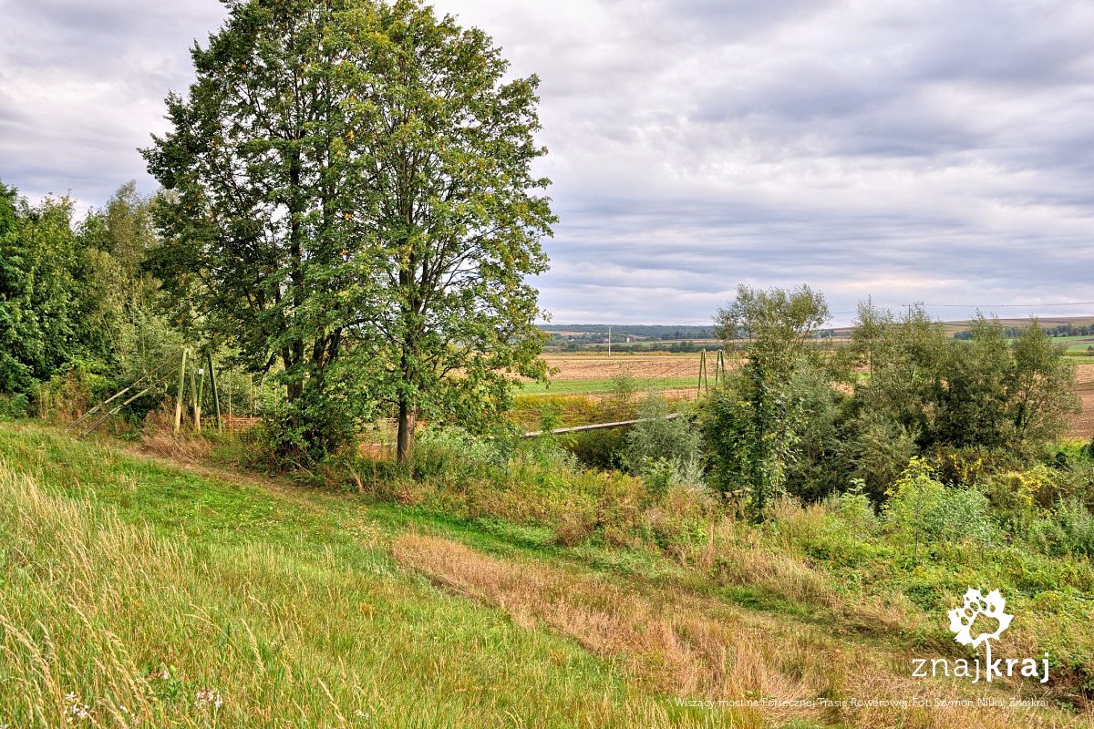 Wiszący most na Fortecznej Trasie Rowerowej