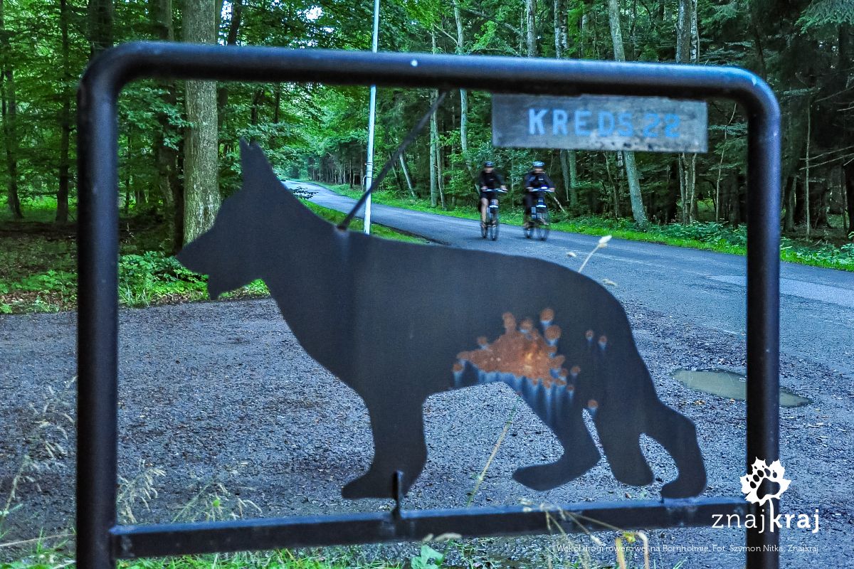 Wokół drogi rowerowej na Bornholmie