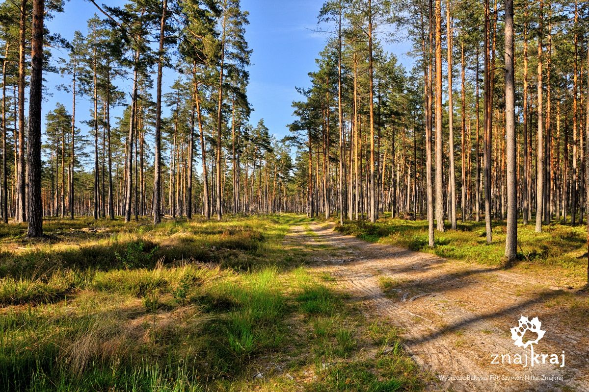 Wybrzeże Bałtyku