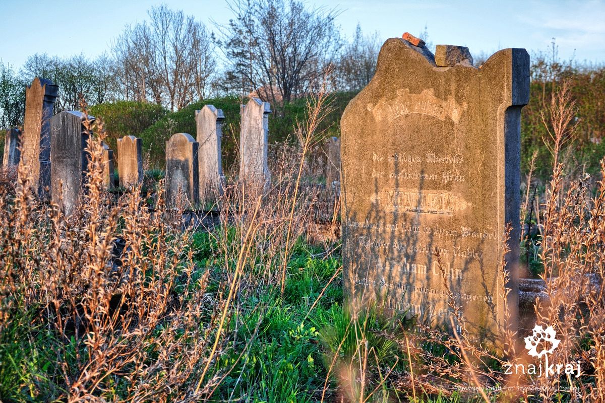 Zarośnięty kirkut Zarośnięty kirkut