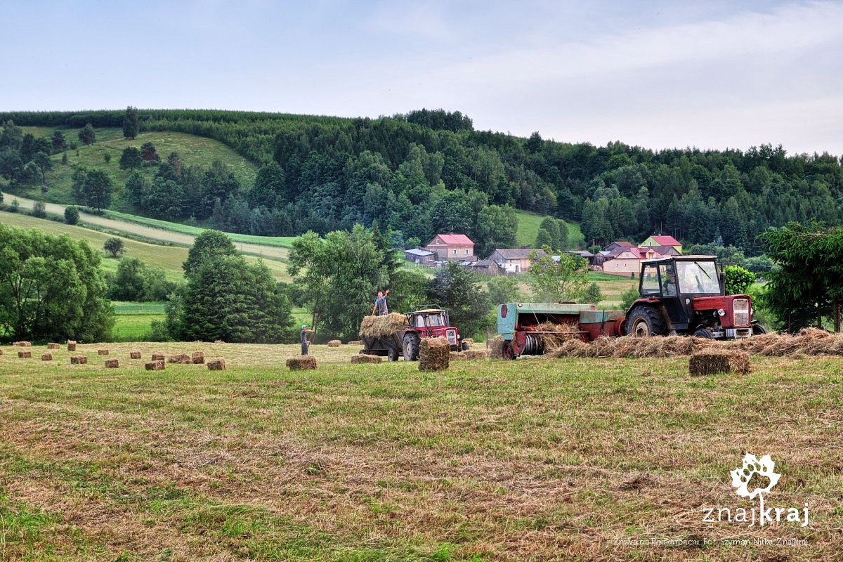 Żniwa na Podkarpaciu