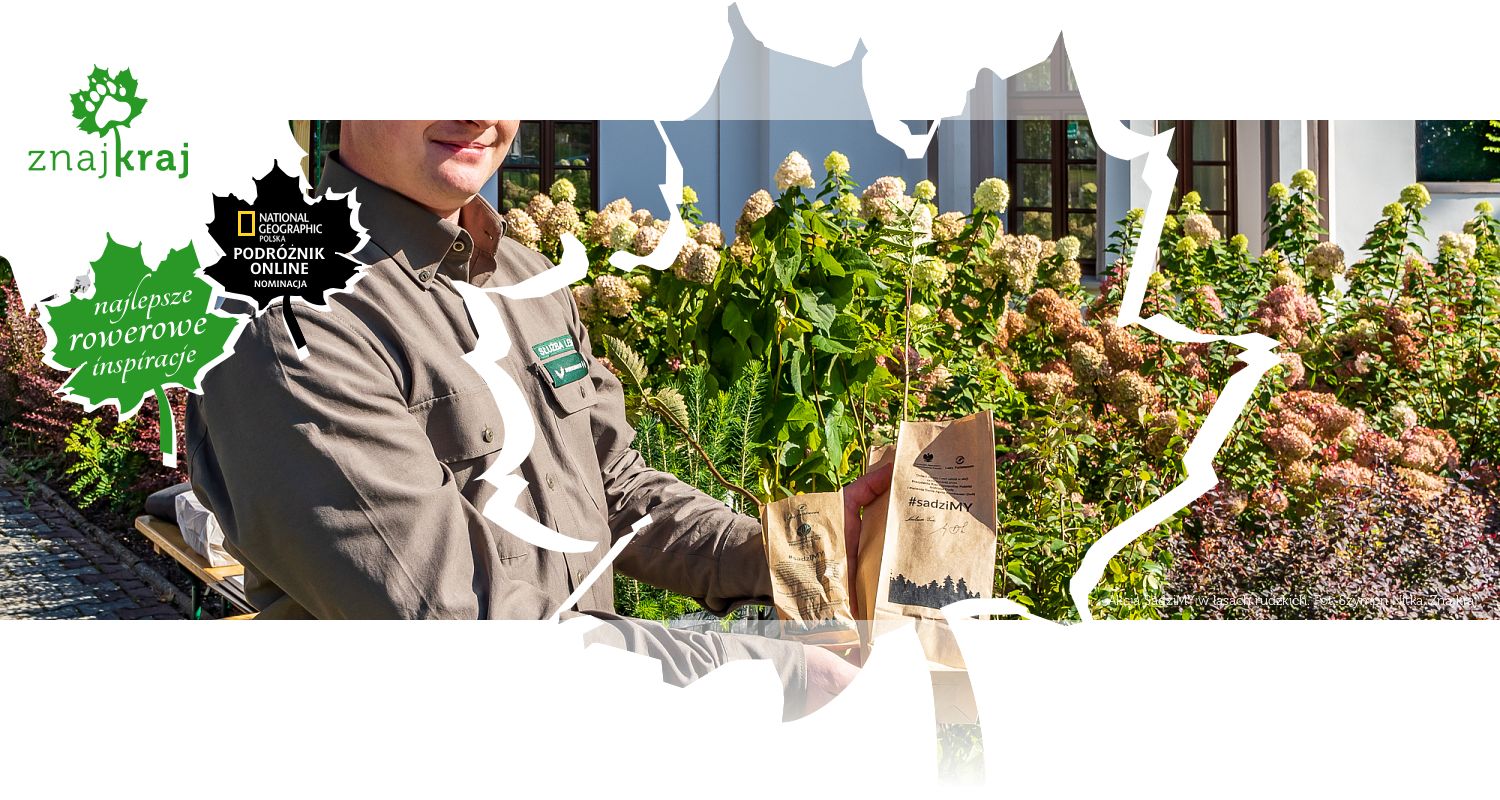 Akcja SadziMY w lasach rudzkich