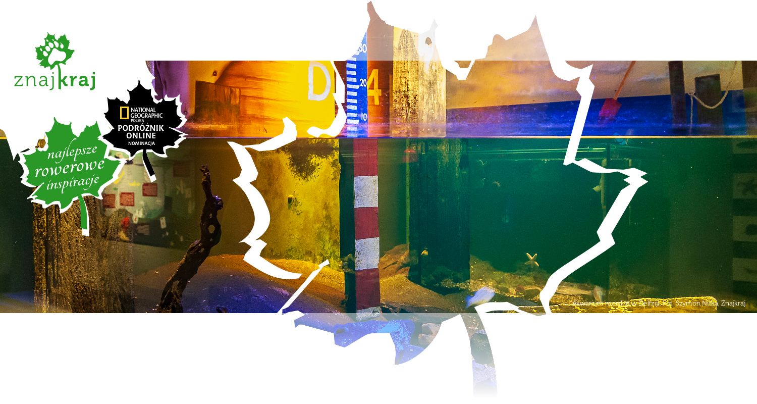 Akwarium morskie w Delfzijl