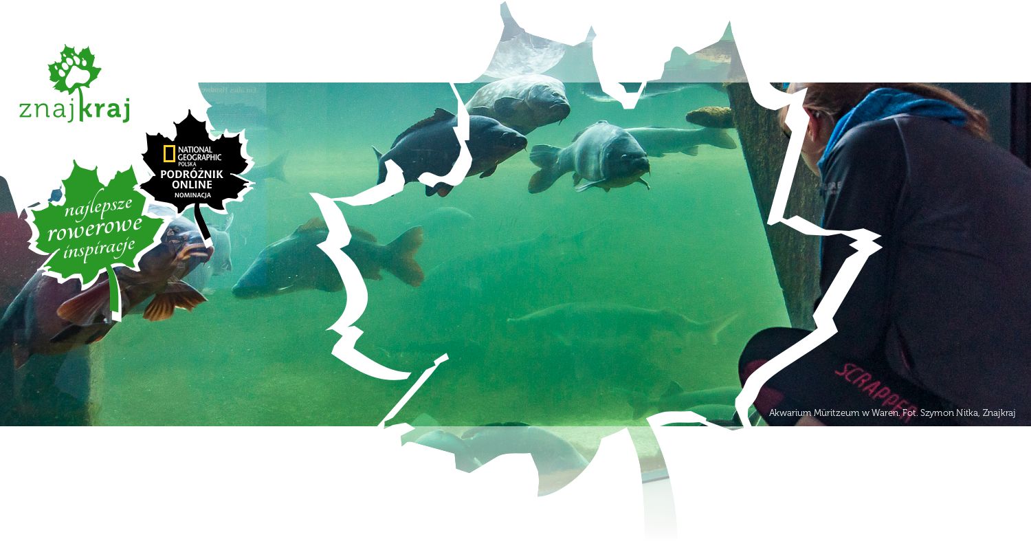 Akwarium Müritzeum w Waren