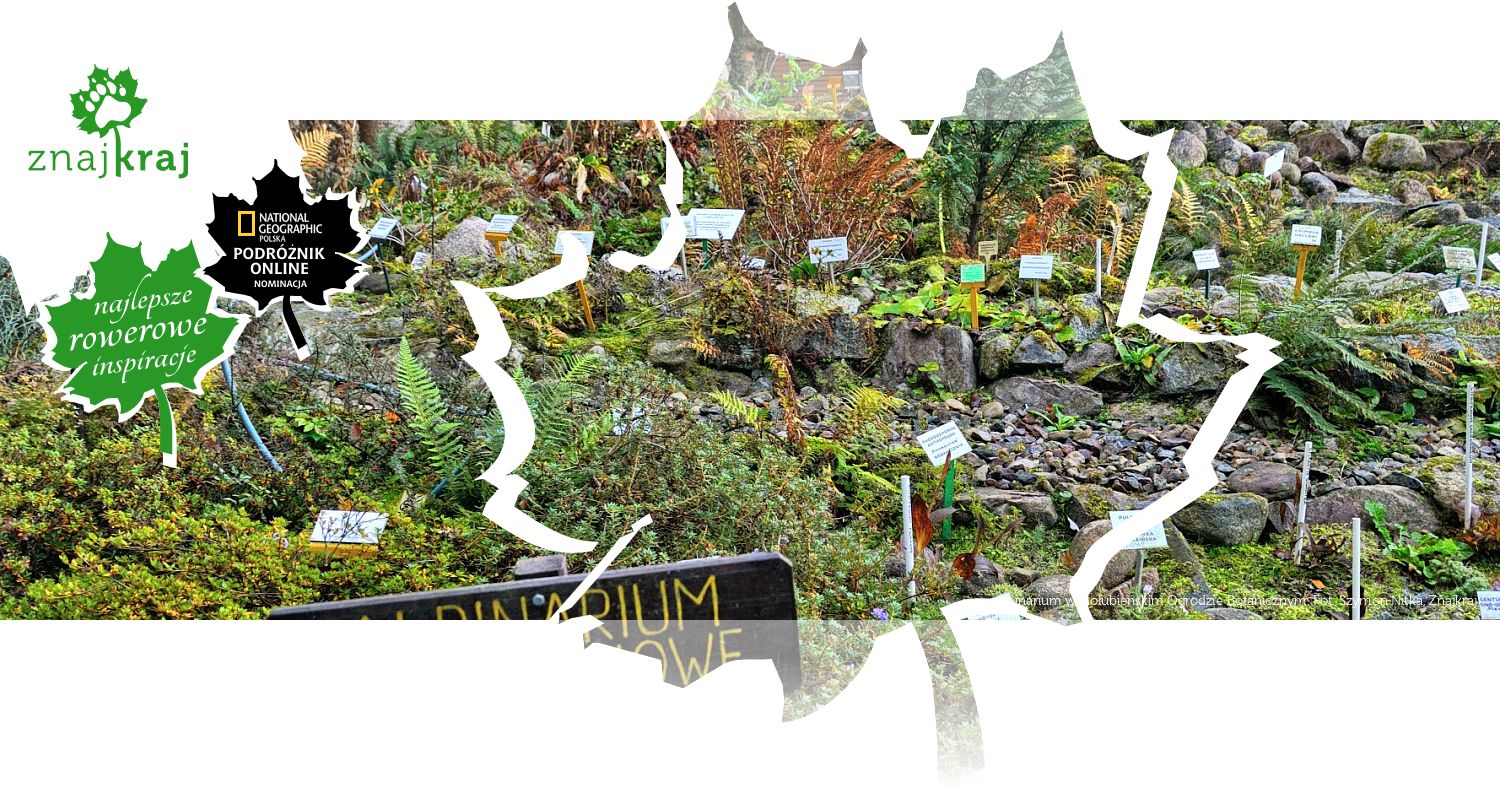 Alpinarium w Gołubieńskim Ogrodzie Botanicznym