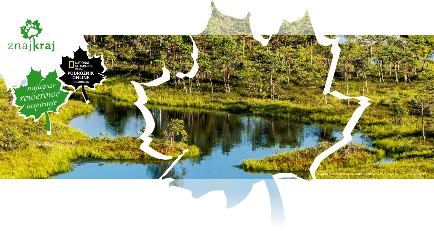 Bagna i torfowiska w parku Kemeri