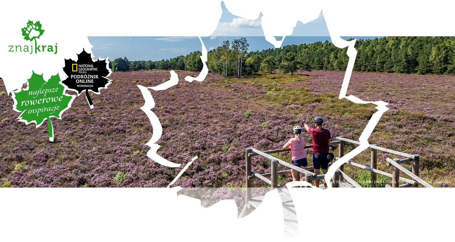 Bagna Izbickie - torfowisko przed Izbicą