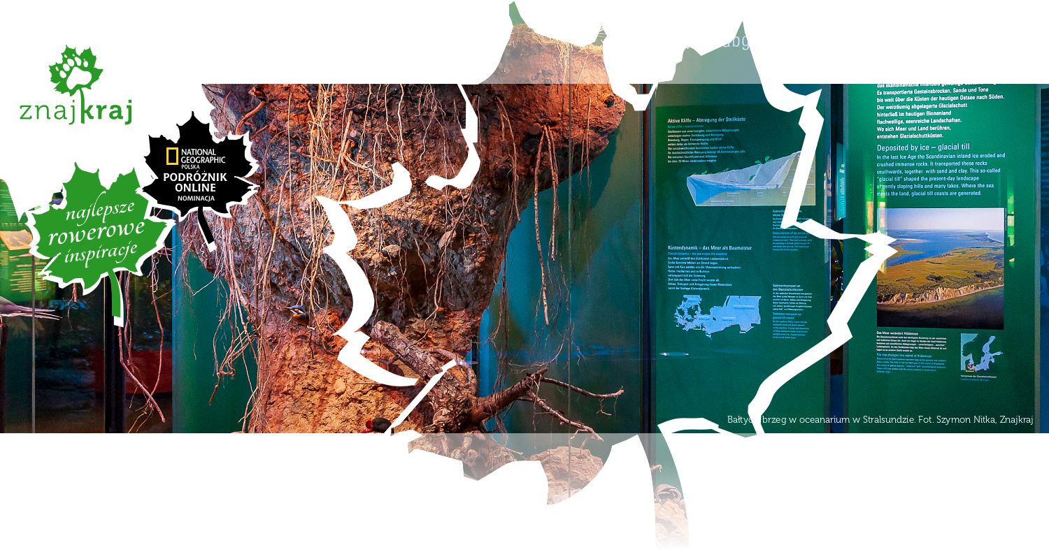 Bałtycki brzeg w oceanarium w Stralsundzie