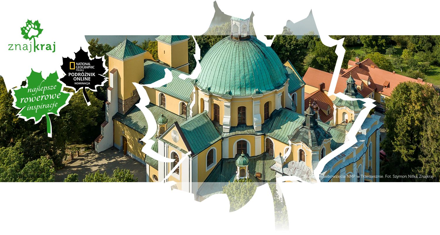 Bazylika Wniebowzięcia NMP w Trzemesznie