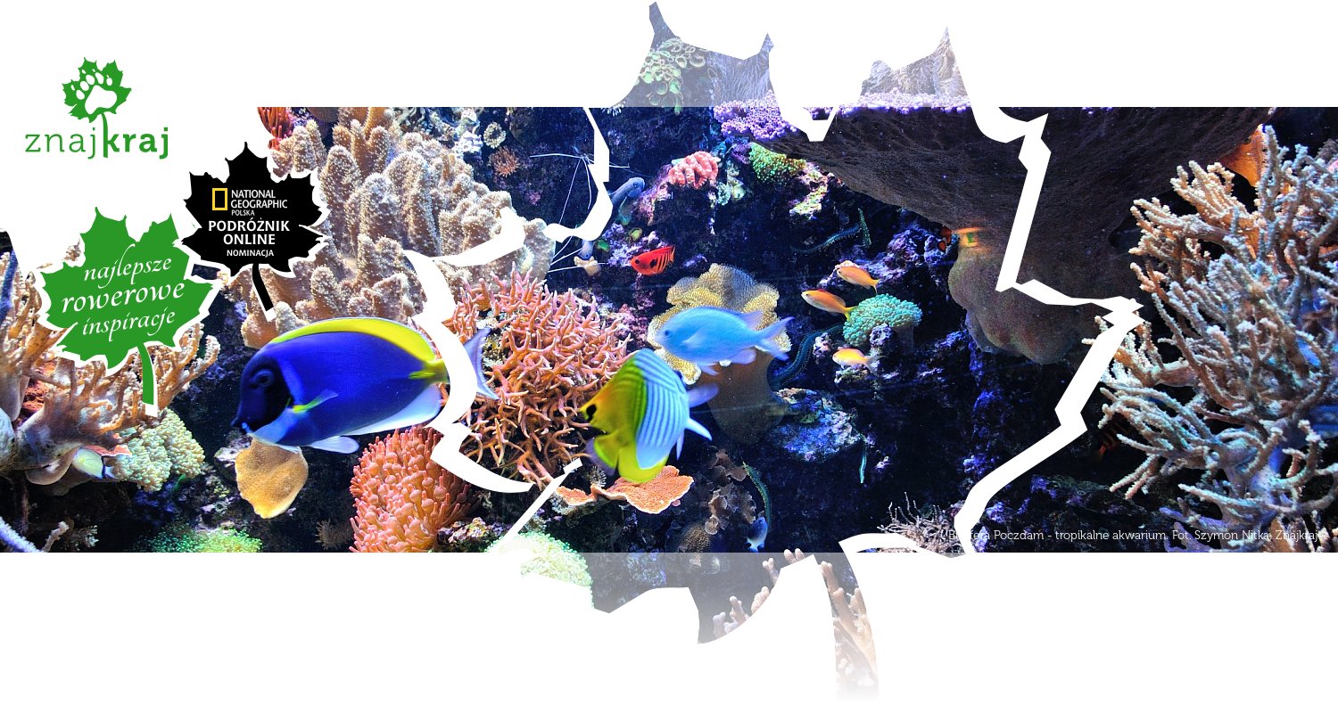 Biosfera Poczdam - tropikalne akwarium