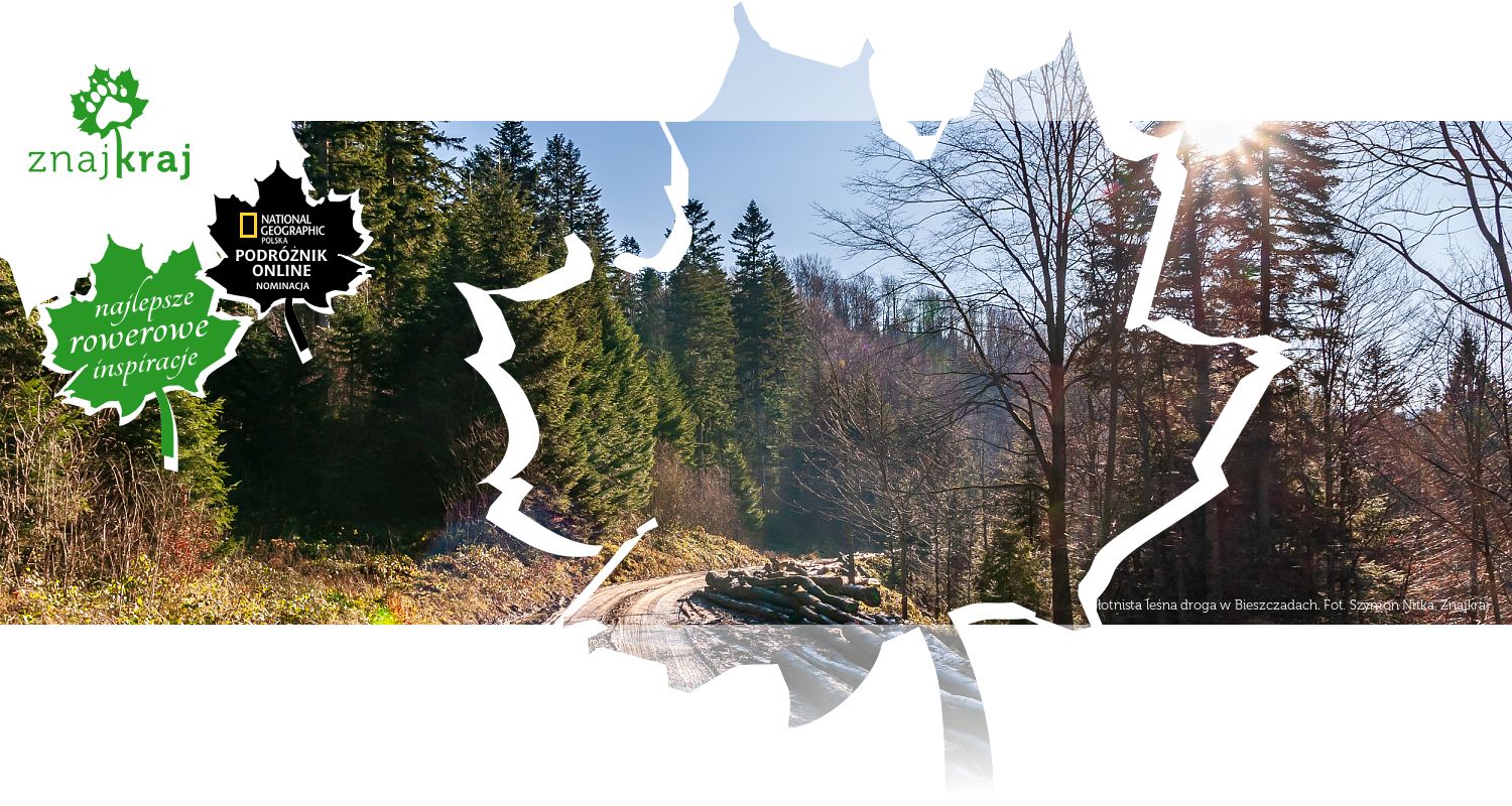 Błotnista leśna droga w Bieszczadach