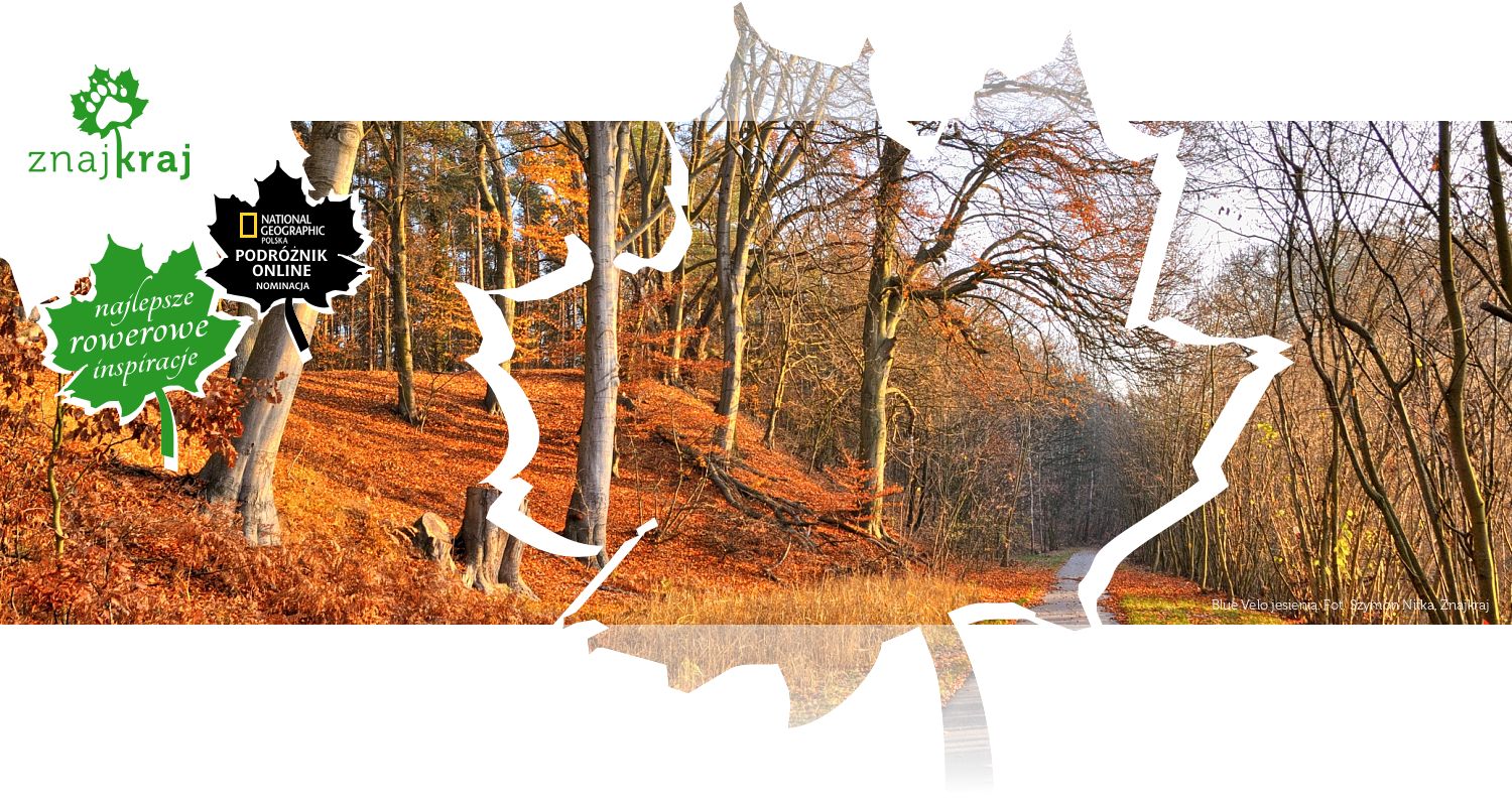 Blue Velo jesienią
