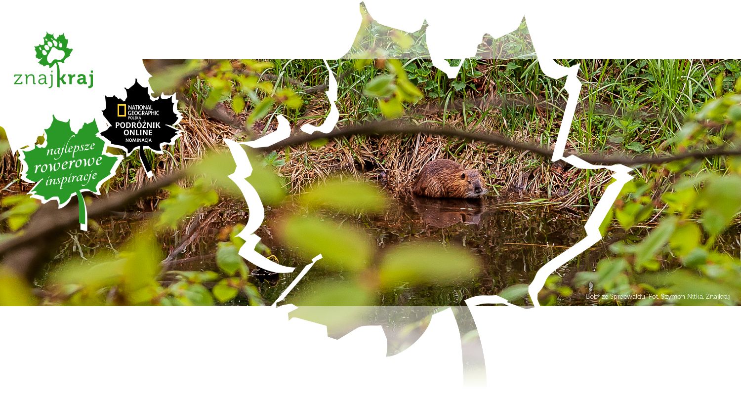 Bóbr ze Spreewaldu