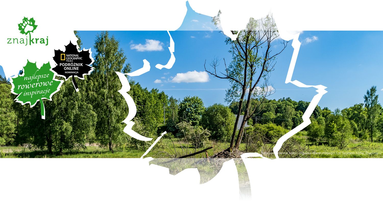 Bobrowe żeremie koło Lidzbarka Warmińskiego