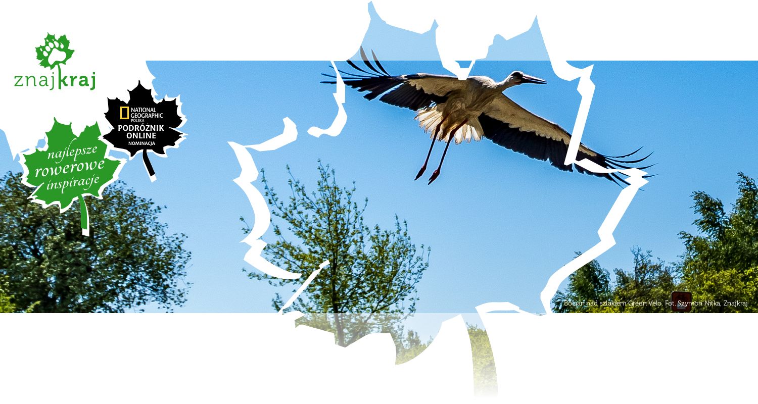 Bocian nad szlakiem Green Velo