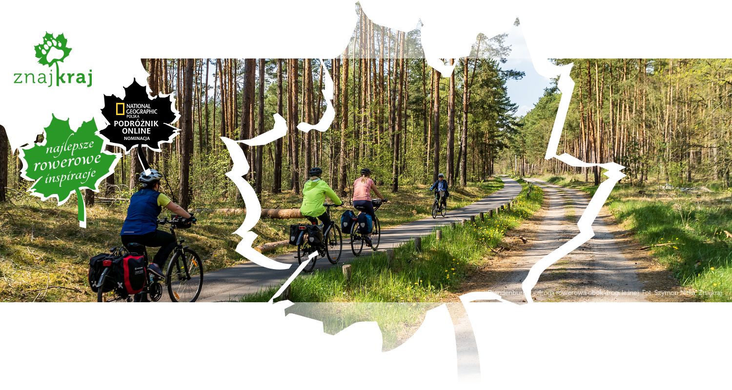 Brandenburgia - droga rowerowa obok drogi leśnej