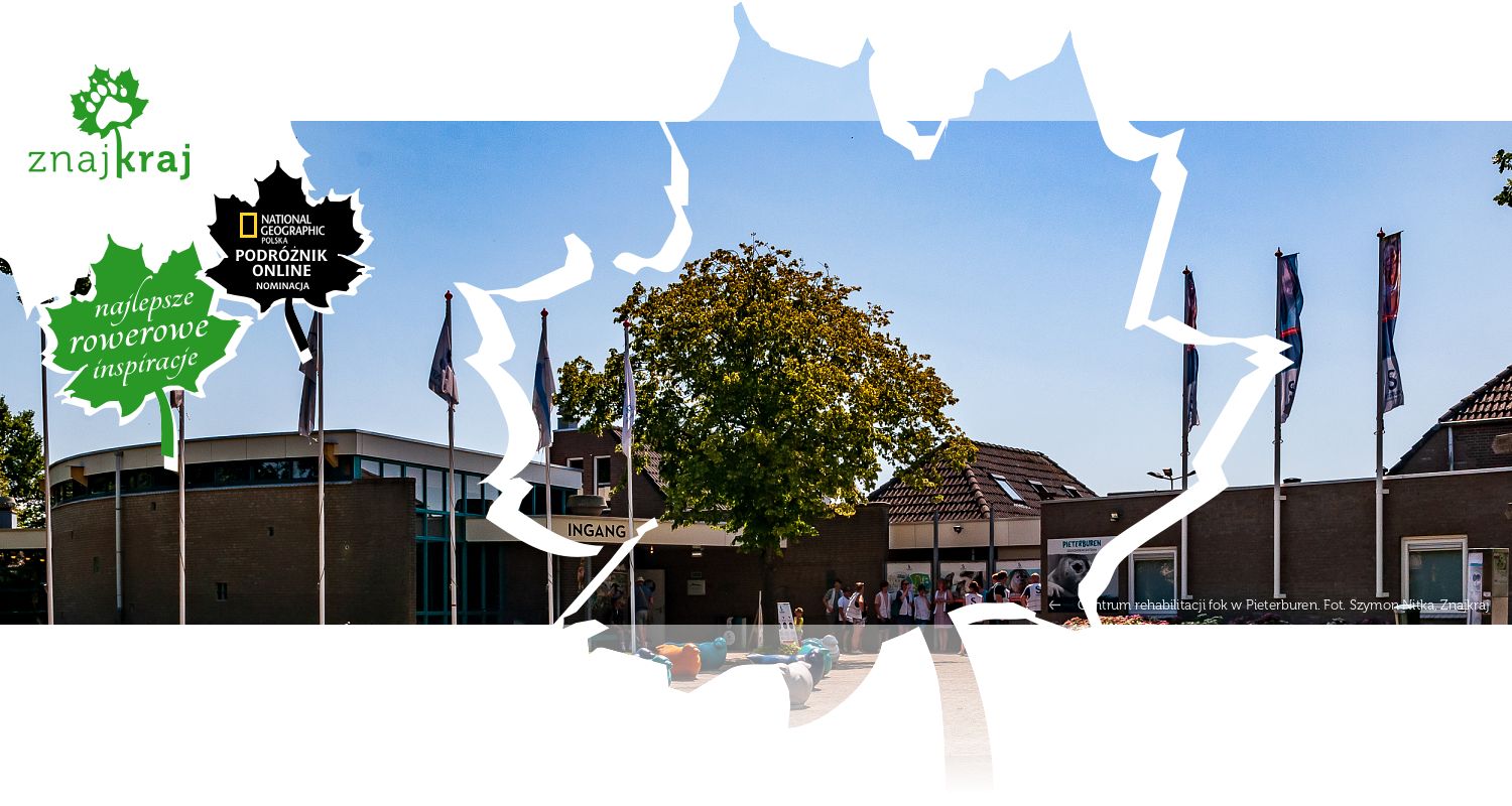 Centrum rehabilitacji fok w Pieterburen