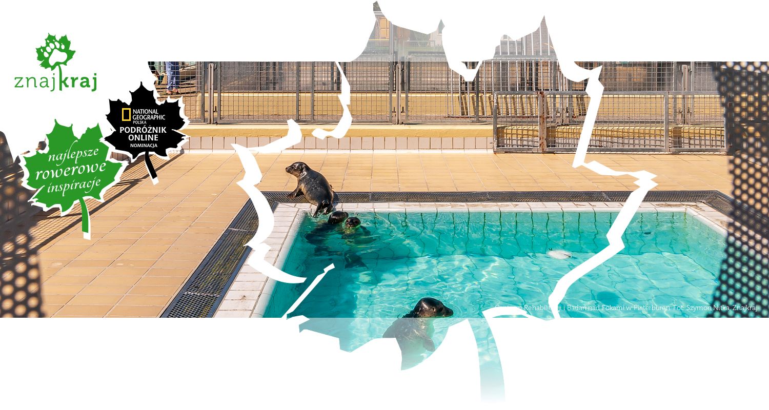 Centrum Rehabilitacji i Badań nad Fokami w Pieterburen