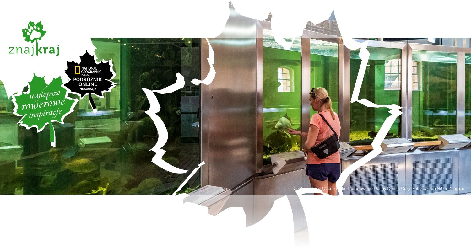 Centrum Turystyczne Parku Narodowego Doliny Dolnej Odry