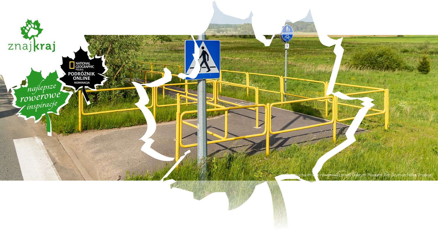 Cielętnik na drodze rowerowej przed Dobrym Miastem