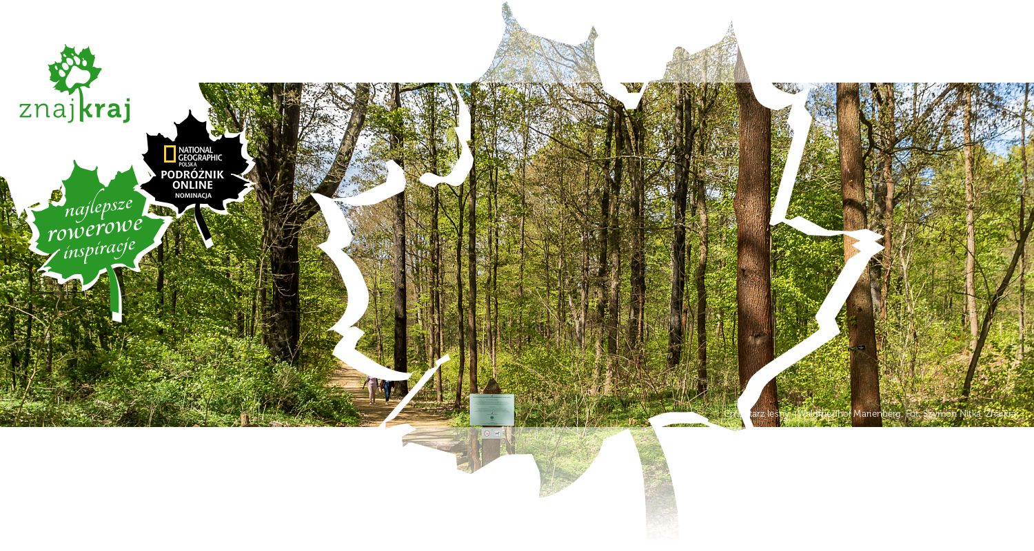 Cmentarz leśny - Waldfriedhof Marienberg