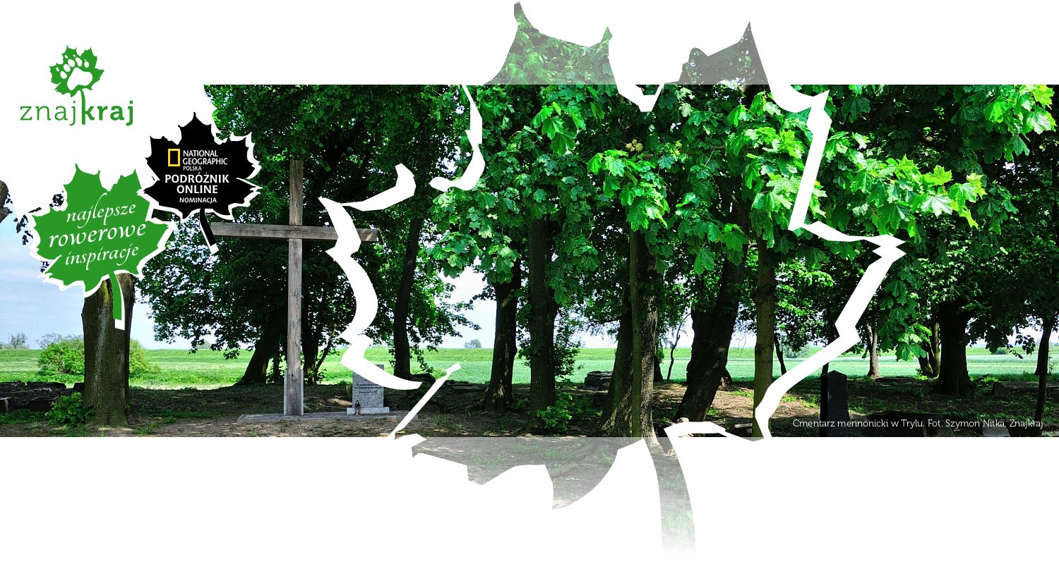 Cmentarz mennonicki w Trylu
