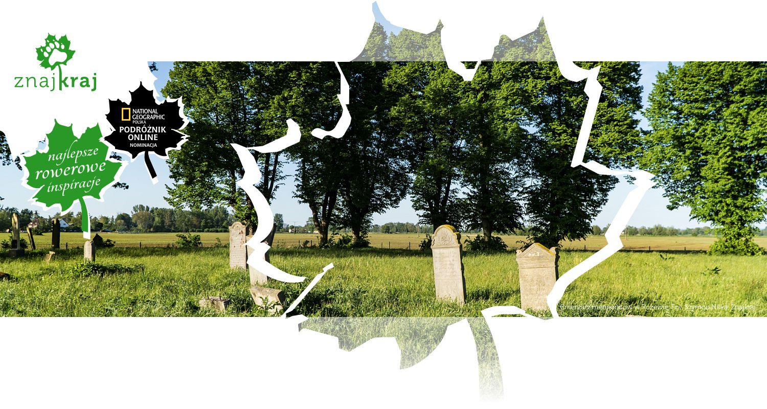 Cmentarz mennonitów w Różewie