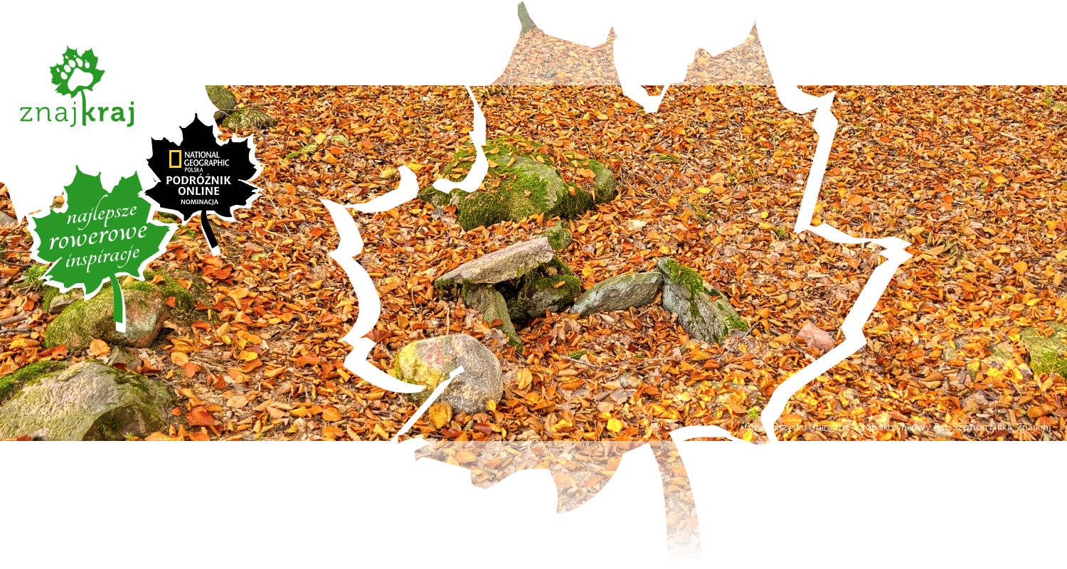 Cmentarzysko Uniradze - grób skrzynkowy