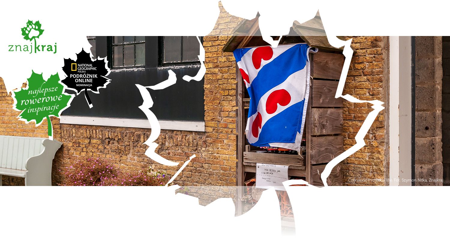 Czerwone fryzyjskie lilie