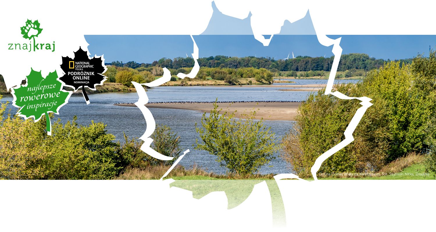 Dolina Dolnej Wisły za Kwidzynem