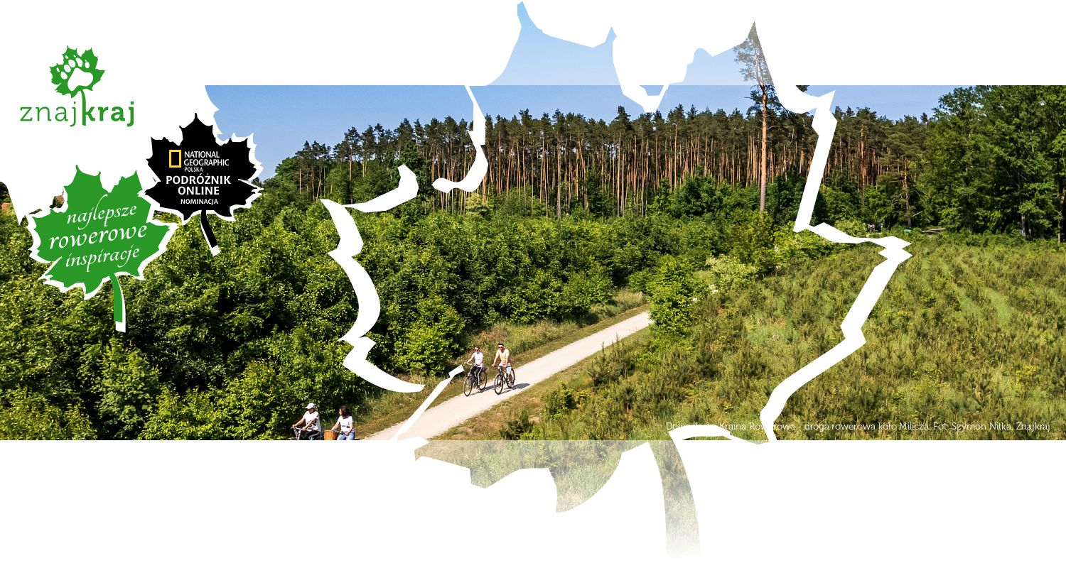 Dolnośląska Kraina Rowerowa - droga rowerowa koło Milicza