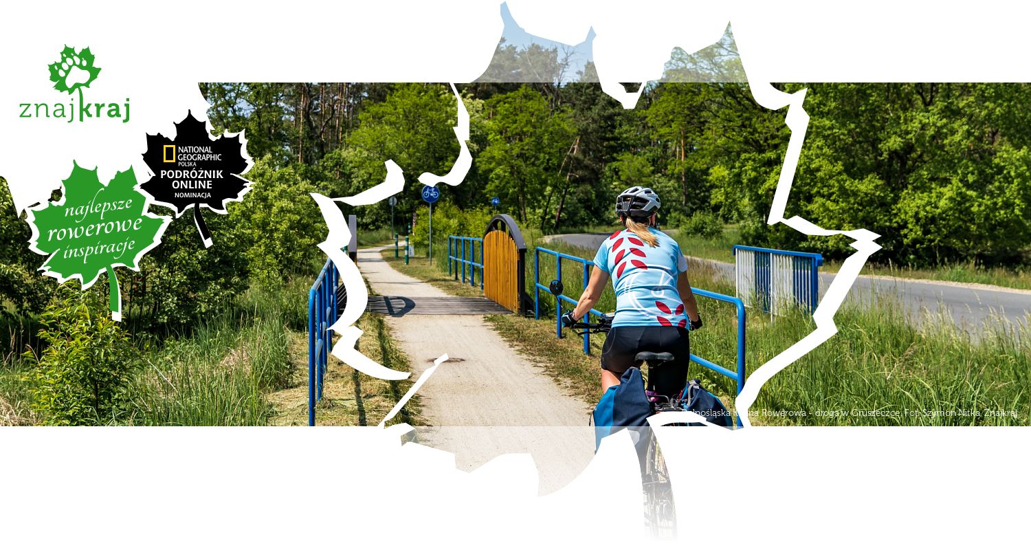 Dolnośląska Kraina Rowerowa - droga w Gruszeczce
