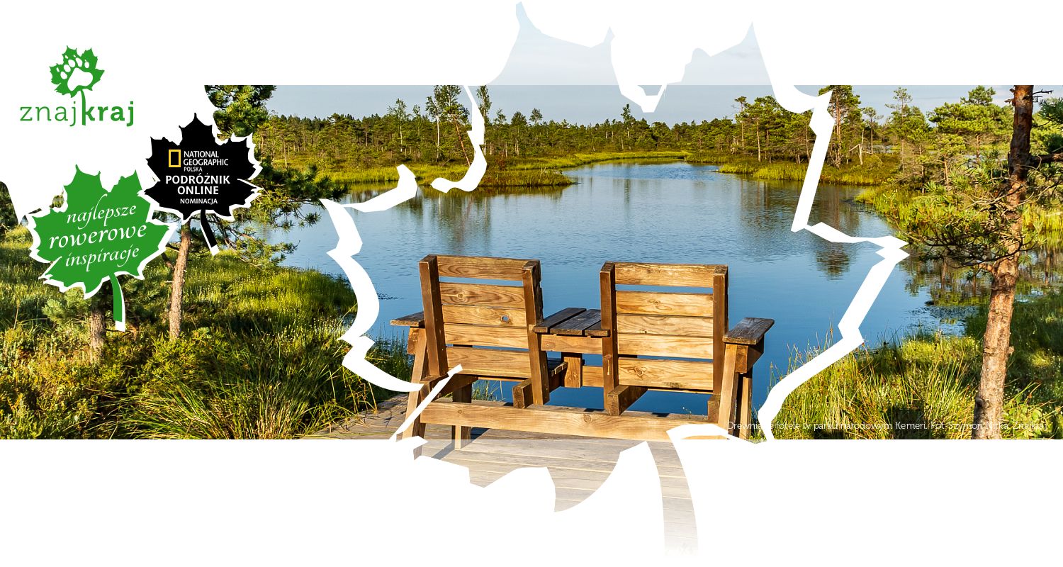 Drewniane fotele w parku narodowym Kemeri