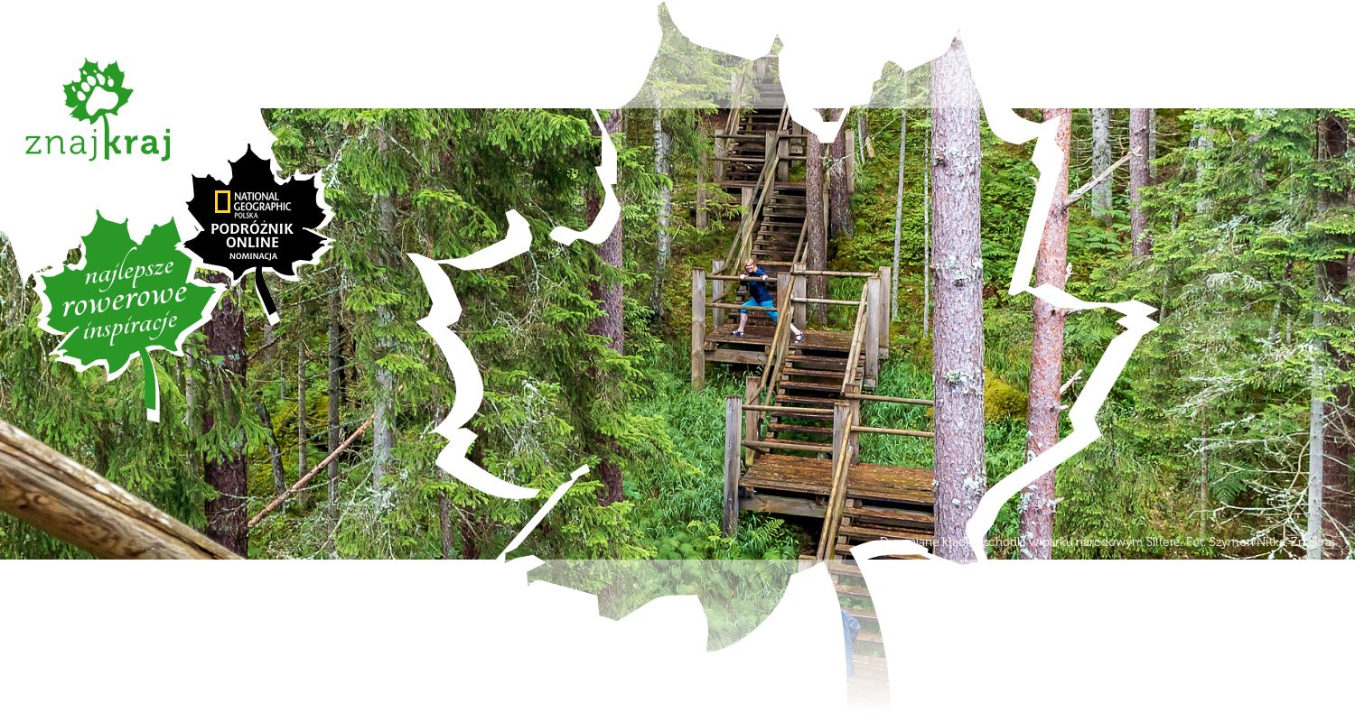 Drewniane kładki i schodki w parku narodowym Slītere