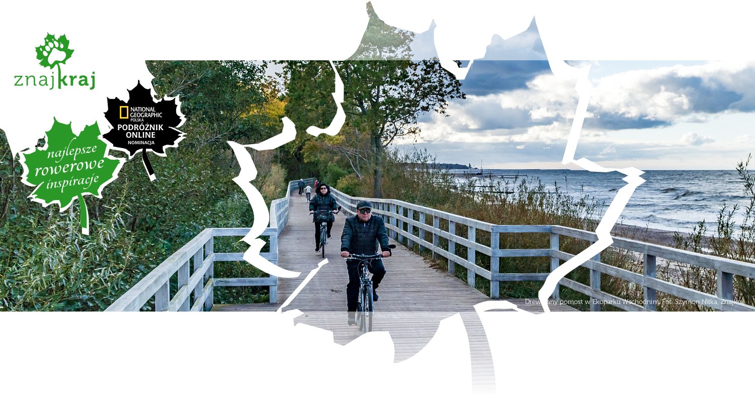 Drewniany pomost w Ekoparku Wschodnim