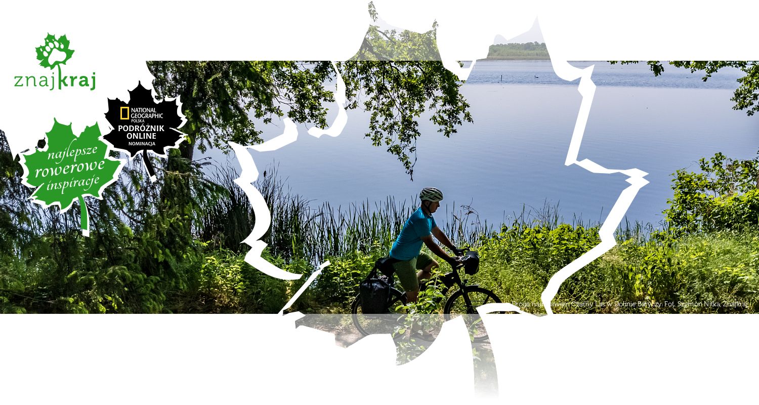 Droga nad stawem Czarny Las w Dolinie Baryczy