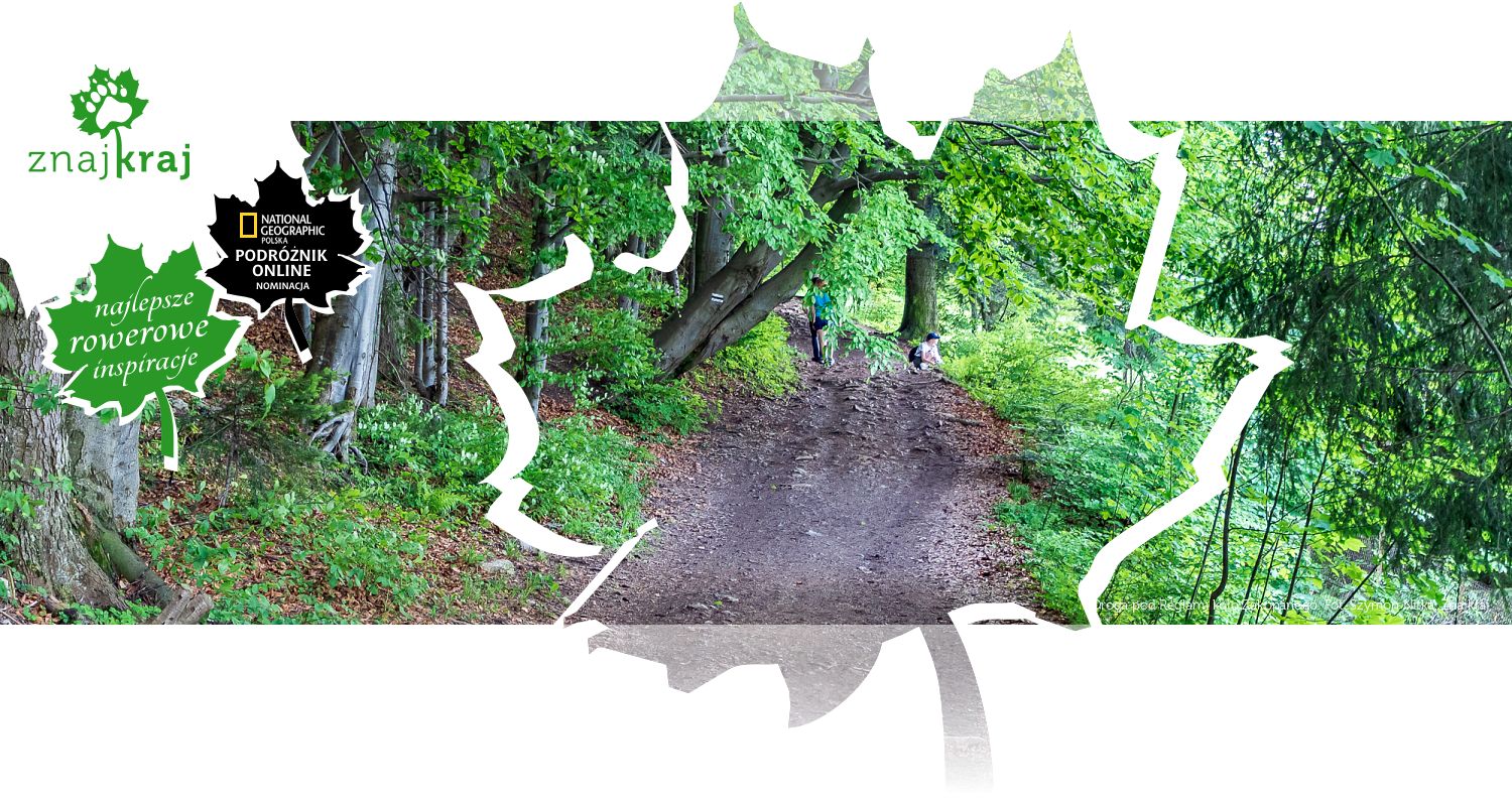 Droga pod Reglami koło Zakopanego