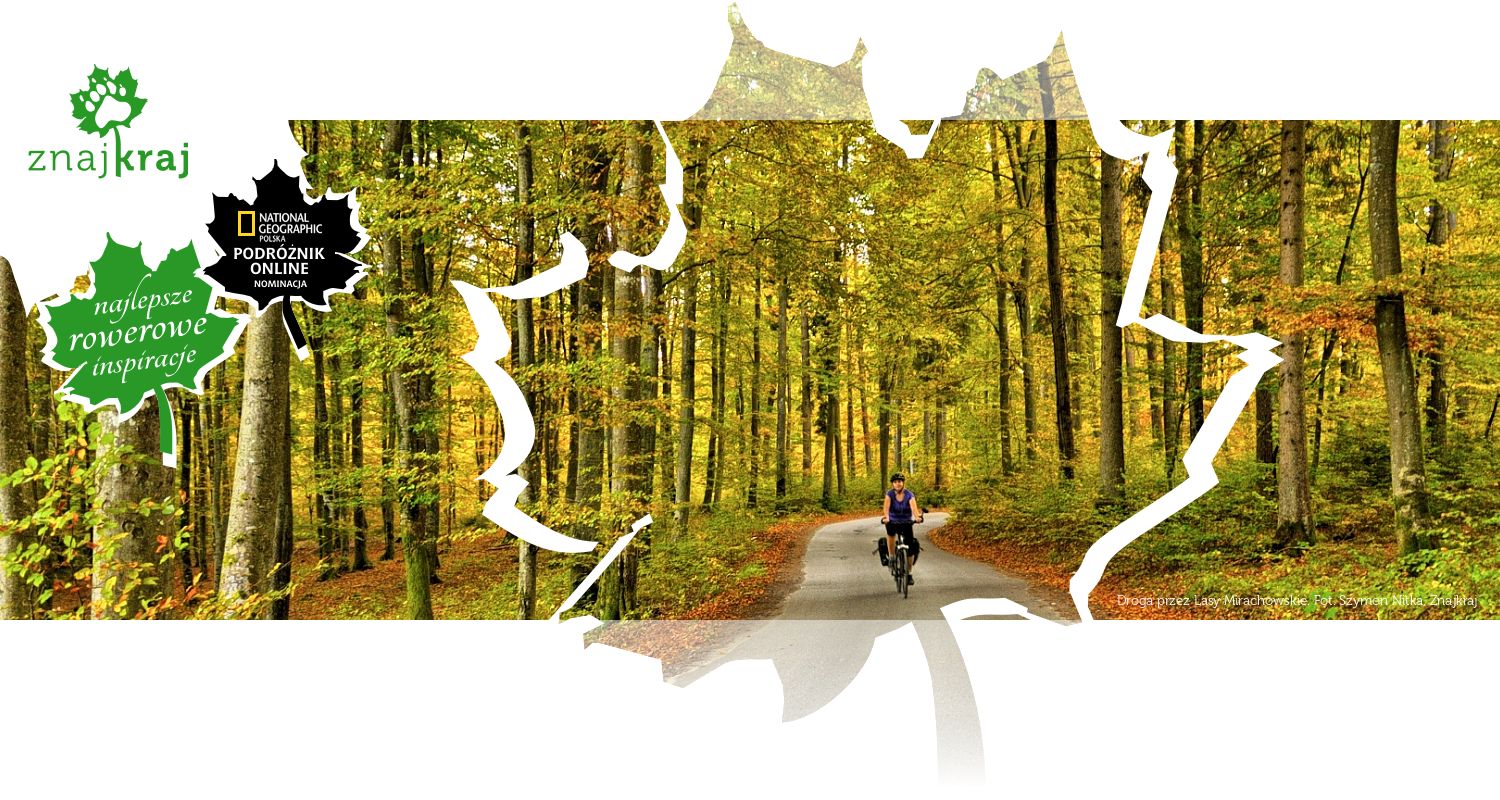Droga przez Lasy Mirachowskie