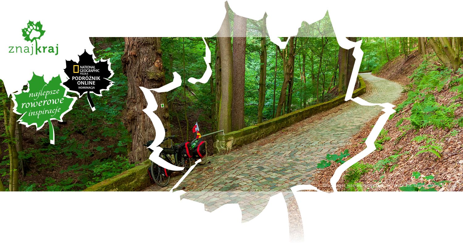 Droga przez rezerwat przyrody koło Pillnitz