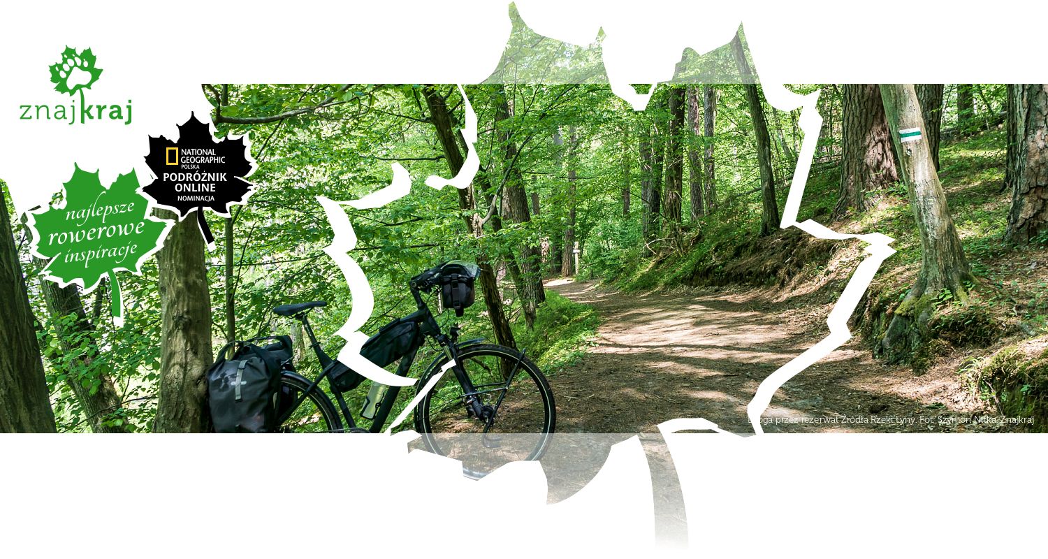 Droga przez rezerwat Źródła Rzeki Łyny
