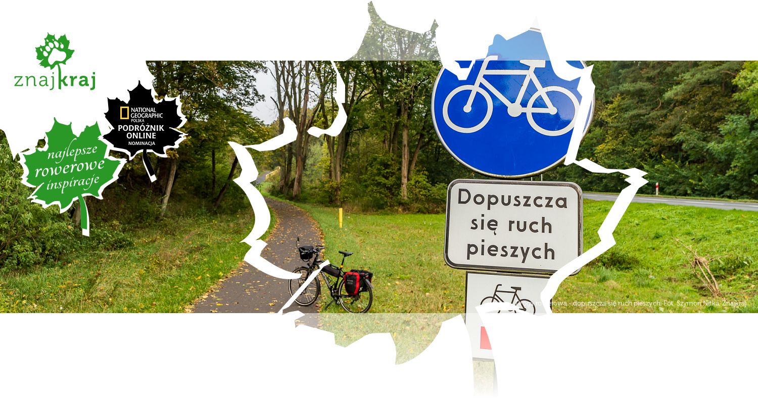 Droga rowerowa - dopuszcza się ruch pieszych