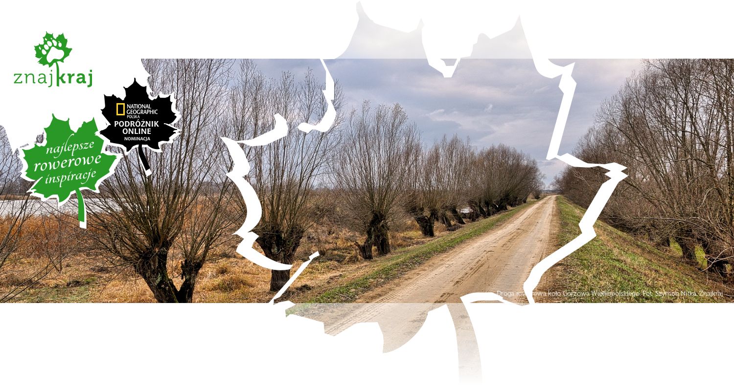 Droga rowerowa koło Gorzowa Wielkopolskiego