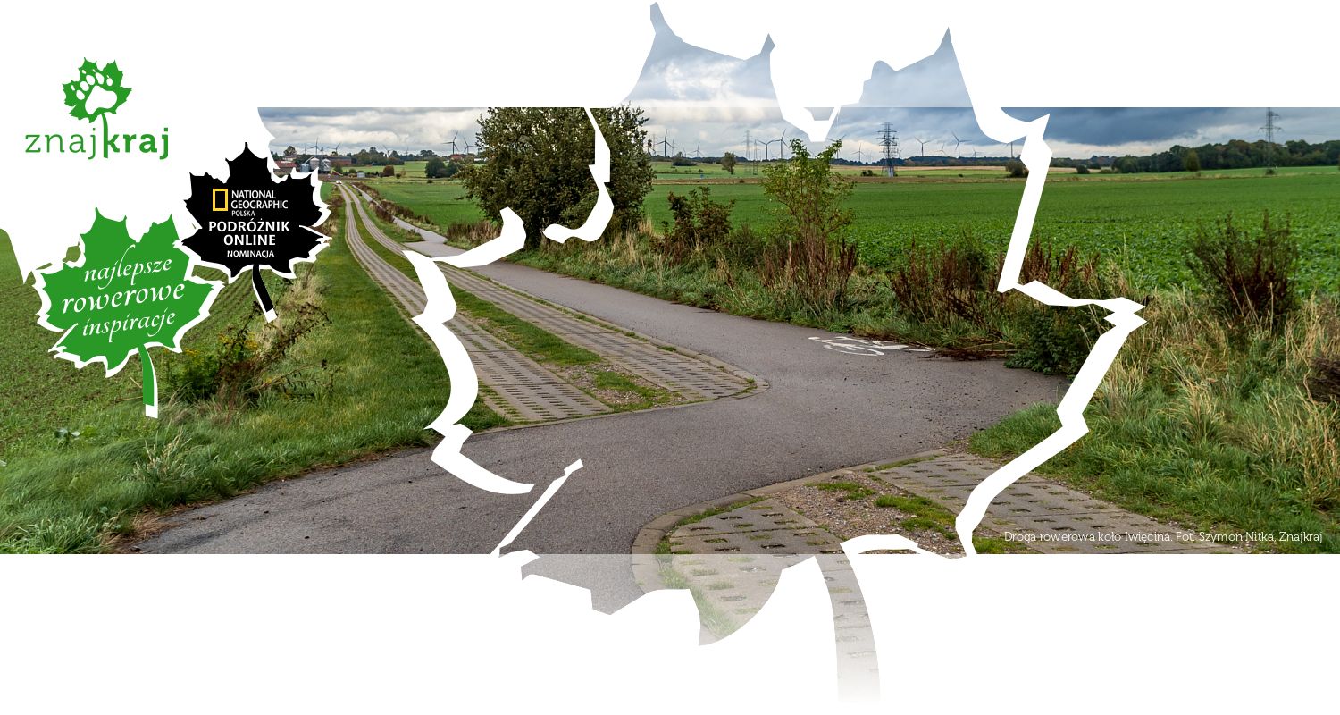 Droga rowerowa koło Iwięcina