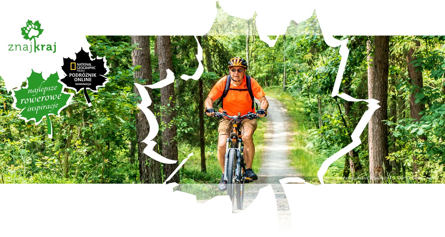 Droga rowerowa koło Kątów Rybackich