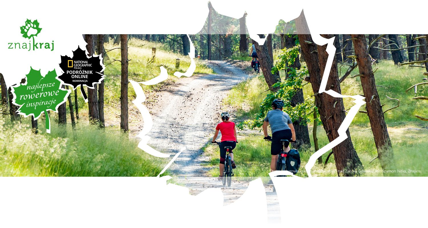 Droga rowerowa koło Krynicy Morskiej nad Zatoką Gdańską