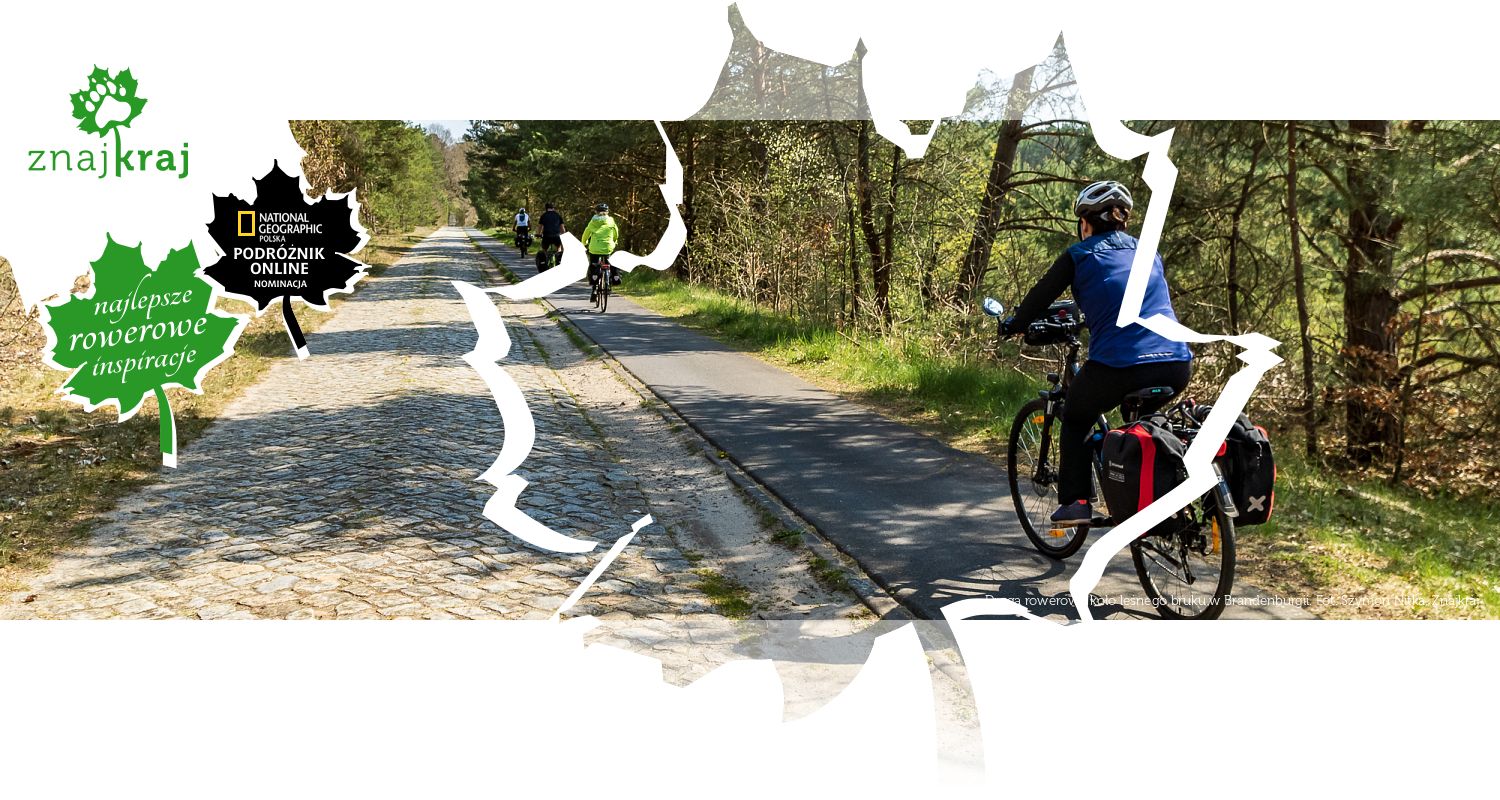 Droga rowerowa koło leśnego bruku w Brandenburgii