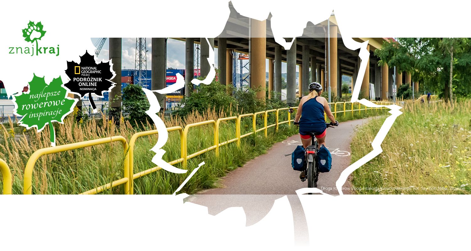 Droga rowerowa pod estakadą Kwiatkowskiego