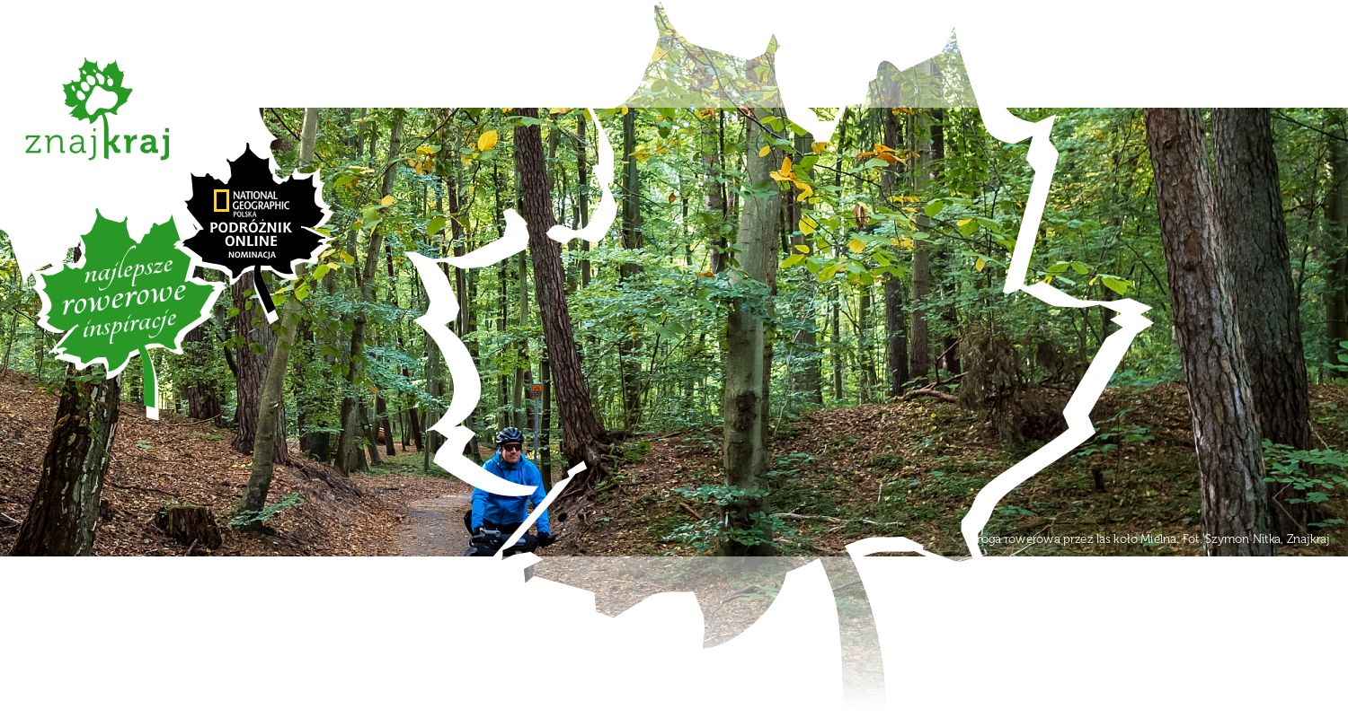 Droga rowerowa przez las koło Mielna