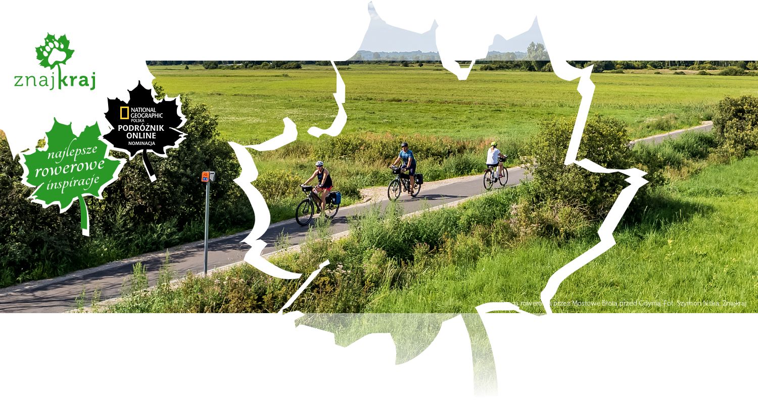 Droga rowerowa przez Mostowe Błota przed Gdynią