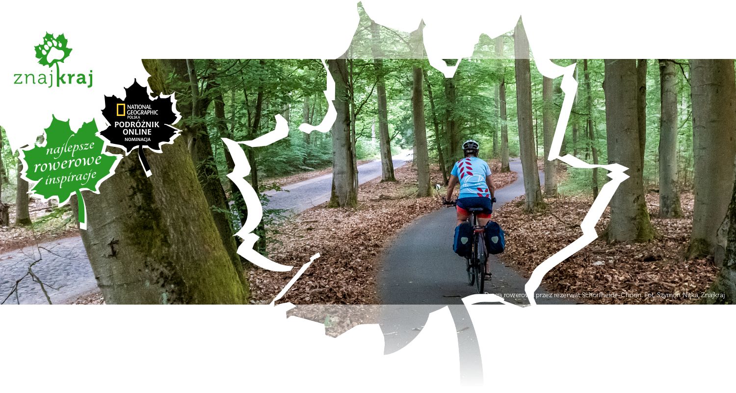 Droga rowerowa przez rezerwat Schorfheide-Chorin